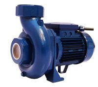 پمپ پنتاکس 2 اینچ 1.5 اسب استخری CS150/01